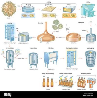  Barley: Le Trésor Industriel pour la Fabrication de Bière et d’Aliments Fonctionnels!