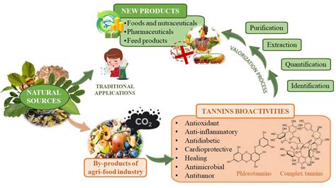  Tannin Production: Extraction Techniques for a Versatile Material in Food and Industry!